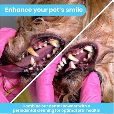 Show full view: Pawtitas Fresh Mint Flavor Dog Dental Water Additive, 8-fl oz bottle slide 8 of 11