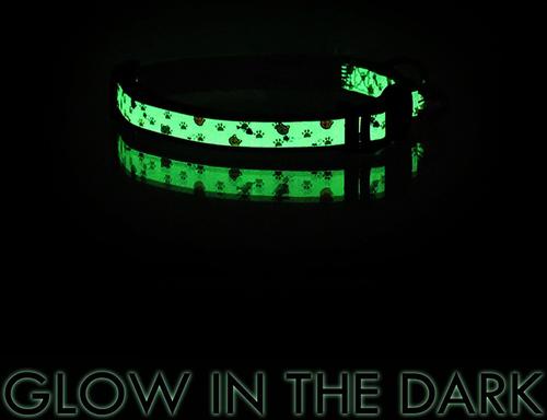 Show full view: Pawtitas Glow in the Dark Nylon Breakaway Cat Collar with Bell, Blue, 7 to 11-in neck, 3/8-in wide slide 7 of 10