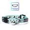 Show in main carousel: Pawtitas Glow in the Dark Nylon Breakaway Cat Collar with Bell, Teal, 7 to 11-in neck, 3/8-in wide slide 1 of 11
