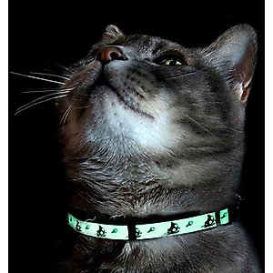 Pawtitas Glow in the Dark Nylon Breakaway Cat Collar with Bell, Teal, 7 to 11-in neck, 3/8-in wide