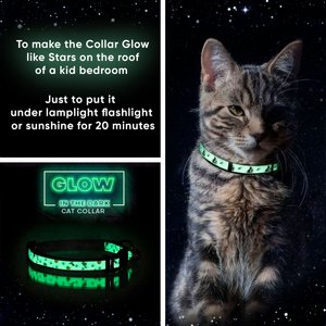 Pawtitas Glow in the Dark Nylon Breakaway Cat Collar with Bell, Teal, 7 to 11-in neck, 3/8-in wide