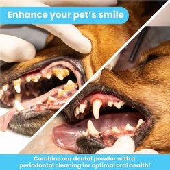 Pawtitas Natural Dental Scrub Dog Toothpaste, 4-oz tube slide 2 of 8