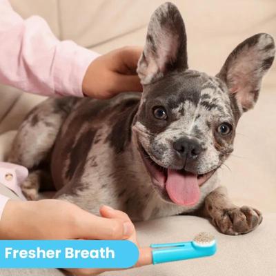 Show full view: Pawtitas Natural Dental Scrub Dog Toothpaste, 4-oz tube slide 3 of 10