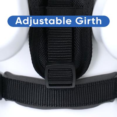 Show full view: Pawtitas Nylon Reflective Back Clip Dog Harness, Black, Medium/Large: 22 to 28-in chest slide 7 of 13