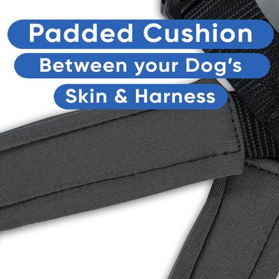 Show full view: Pawtitas Nylon Reflective Back Clip Dog Harness, Black, Medium/Large: 22 to 28-in chest slide 5 of 13