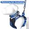 Show in main carousel: Pawtitas Nylon Reflective Back Clip Dog Harness, Blue, Small: 18 to 22-in chest slide 9 of 14