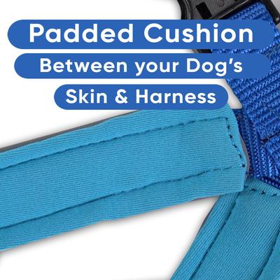 Show full view: Pawtitas Nylon Reflective Back Clip Dog Harness, Blue, X-Small: 14 to 18-in chest slide 6 of 14