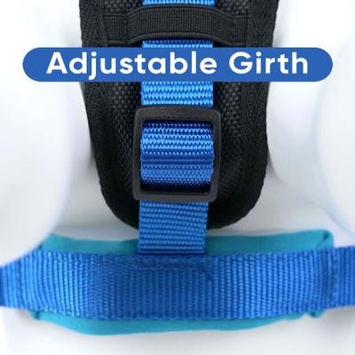 Show full view: Pawtitas Nylon Reflective Back Clip Dog Harness, Blue, X-Small: 14 to 18-in chest slide 8 of 14