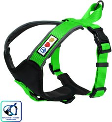 Pawtitas Nylon Reflective Back Clip Dog Harness, Green, Medium/Large: 22 to 28-in chest