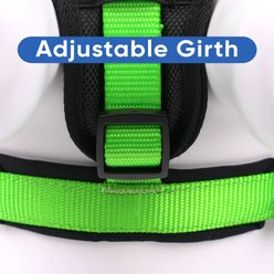 Pawtitas Nylon Reflective Back Clip Dog Harness, Green, Medium/Large: 22 to 28-in chest slide 2 of 9