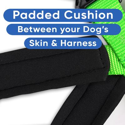 Show full view: Pawtitas Nylon Reflective Back Clip Dog Harness, Green, Medium/Large: 22 to 28-in chest slide 5 of 13
