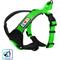 Show in main carousel: Pawtitas Nylon Reflective Back Clip Dog Harness, Green, X-Small: 14 to 18-in chest slide 1 of 13