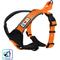 Show in main carousel: Pawtitas Nylon Reflective Back Clip Dog Harness, Orange, Large/X-Large: 27 to 33-in chest slide 1 of 13