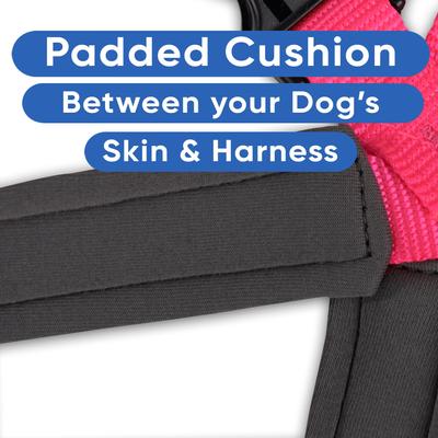 Show full view: Pawtitas Nylon Reflective Back Clip Dog Harness, Pink, XX-Small: 12 to 15-in chest slide 5 of 13