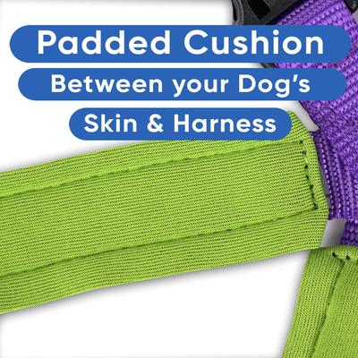 Show full view: Pawtitas Nylon Reflective Back Clip Dog Harness, Purple, Large/X-Large: 27 to 33-in chest slide 5 of 13