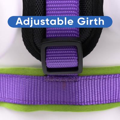 Show full view: Pawtitas Nylon Reflective Back Clip Dog Harness, Purple, Large/X-Large: 27 to 33-in chest slide 7 of 13