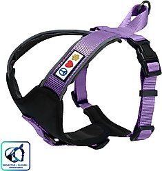 Pawtitas Nylon Reflective Back Clip Dog Harness, Purple Orchid, Large/X-Large: 27 to 33-in chest
