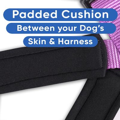 Show full view: Pawtitas Nylon Reflective Back Clip Dog Harness, Purple Orchid, Large/X-Large: 27 to 33-in chest slide 5 of 13