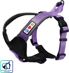 Pawtitas Nylon Reflective Back Clip Dog Harness, Purple Orchid, Medium/Large: 22 to 28-in chest