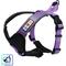 Show in main carousel: Pawtitas Nylon Reflective Back Clip Dog Harness, Purple Orchid, Small: 18 to 22-in chest slide 1 of 13