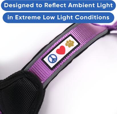 Show full view: Pawtitas Nylon Reflective Back Clip Dog Harness, Purple Orchid, Small: 18 to 22-in chest slide 4 of 13