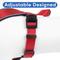 Show in main carousel: Pawtitas Nylon Reflective Back Clip Dog Harness, Red, Large/X-Large: 27 to 33-in chest slide 6 of 13