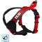 Show in main carousel: Pawtitas Nylon Reflective Back Clip Dog Harness, Red, Small: 18 to 22-in chest slide 1 of 13