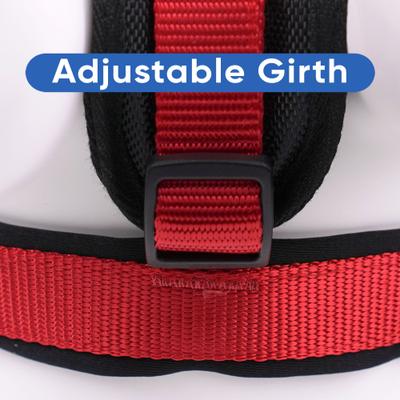 Show full view: Pawtitas Nylon Reflective Back Clip Dog Harness, Red, Small: 18 to 22-in chest slide 7 of 13