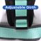 Show in main carousel: Pawtitas Nylon Reflective Back Clip Dog Harness, Teal, Large/X-Large: 27 to 33-in chest slide 8 of 14