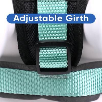 Show full view: Pawtitas Nylon Reflective Back Clip Dog Harness, Teal, Large/X-Large: 27 to 33-in chest slide 8 of 14