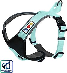 Pawtitas Nylon Reflective Back Clip Dog Harness, Teal, Medium/Large: 22 to 28-in chest
