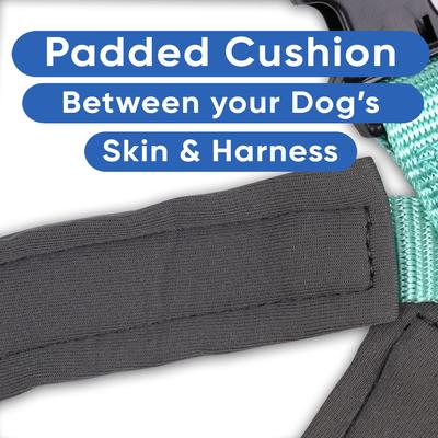 Show full view: Pawtitas Nylon Reflective Back Clip Dog Harness, Teal, Medium/Large: 22 to 28-in chest slide 5 of 13