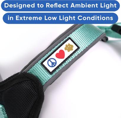 Show full view: Pawtitas Nylon Reflective Back Clip Dog Harness, Teal, Small: 18 to 22-in chest slide 4 of 13