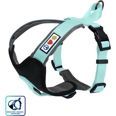 Pawtitas Pawtitas Nylon Reflective Back Clip Dog Harness, Teal, X-Small: 14 to 17-in chest