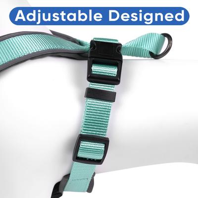 Show full view: Pawtitas Nylon Reflective Back Clip Dog Harness, Teal, X-Small: 14 to 18-in chest slide 6 of 13