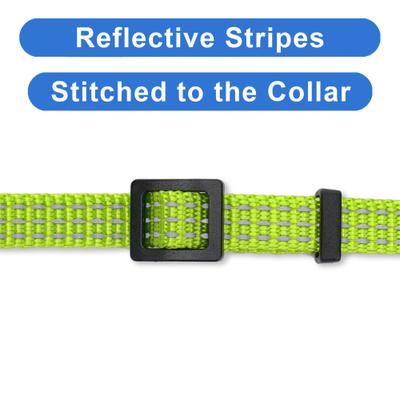Show full view: Pawtitas Nylon Reflective Breakaway Cat Collar with Bell, Green, 7 to 11-in neck, 3/8-in wide slide 4 of 10