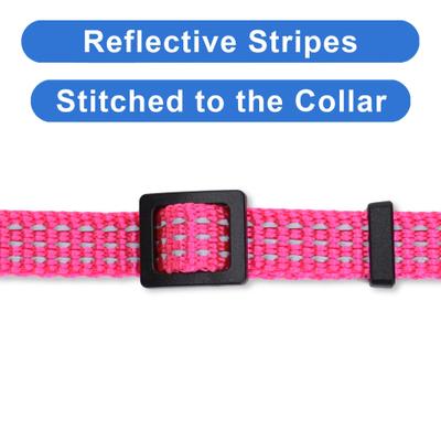 Show full view: Pawtitas Nylon Reflective Breakaway Cat Collar with Bell, Pink, 7 to 11-in neck, 3/8-in wide slide 5 of 11