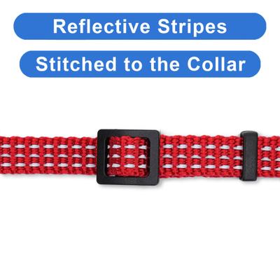 Show full view: Pawtitas Nylon Reflective Breakaway Cat Collar with Bell, Red, 7 to 11-in neck, 3/8-in wide slide 4 of 10