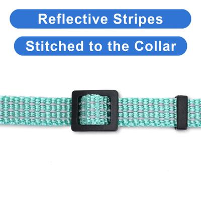 Show full view: Pawtitas Nylon Reflective Breakaway Cat Collar with Bell, Teal, 7 to 11-in neck, 3/8-in wide slide 4 of 10