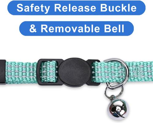 Show full view: Pawtitas Nylon Reflective Breakaway Cat Collar with Bell, Teal, 7 to 11-in neck, 3/8-in wide slide 6 of 10