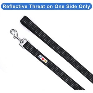 Pawtitas Nylon Reflective Dog Leash, Black, X-Small/Small: 6-ft long, 5/8-in wide