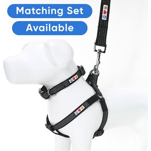 Pawtitas Nylon Reflective Dog Leash, Black, X-Small/Small: 6-ft long, 5/8-in wide
