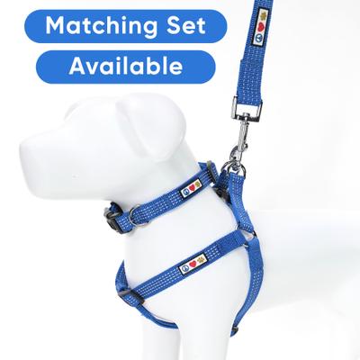Show full view: Pawtitas Nylon Reflective Dog Leash, Blue, Medium/Large: 6-ft long, 1-in wide slide 5 of 9