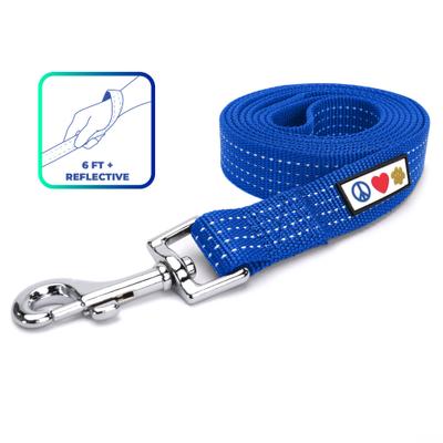 Show full view: Pawtitas Nylon Reflective Dog Leash, Blue, X-Small/Small: 6-ft long, 5/8-in wide slide 1 of 9