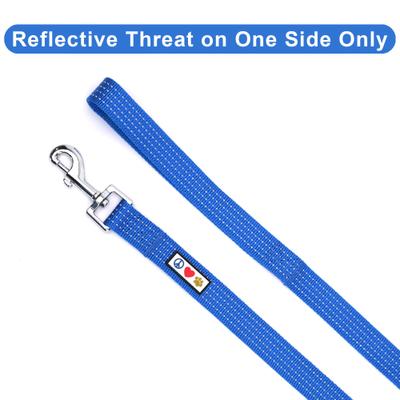 Show full view: Pawtitas Nylon Reflective Dog Leash, Blue, X-Small/Small: 6-ft long, 5/8-in wide slide 3 of 9