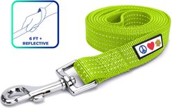 Pawtitas Nylon Reflective Dog Leash, Green, Medium/Large: 6-ft long, 1-in wide