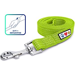 Pawtitas Nylon Reflective Dog Leash, Green, Medium/Large: 6-ft long, 1-in wide