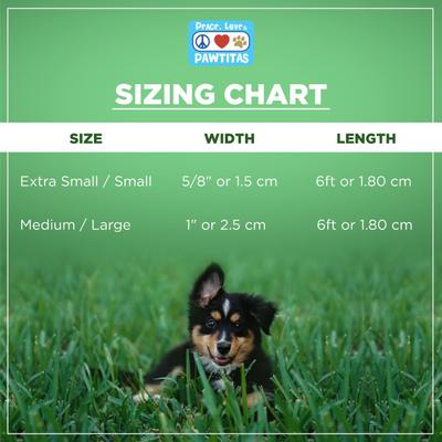 Show full view: Pawtitas Nylon Reflective Dog Leash, Green, Medium/Large: 6-ft long, 1-in wide slide 6 of 9