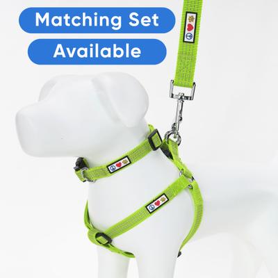 Show full view: Pawtitas Nylon Reflective Dog Leash, Green, Medium/Large: 6-ft long, 1-in wide slide 5 of 9