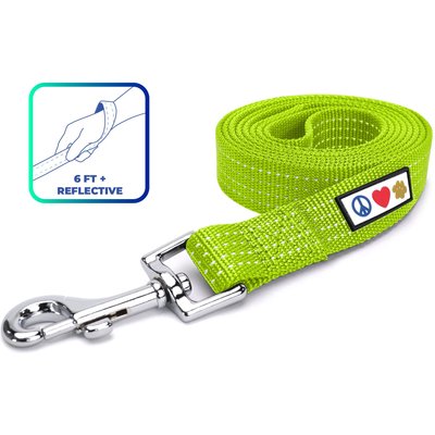 Pawtitas Pawtitas Nylon Reflective Dog Leash, Green, X-Small/Small: 6-ft long, 5/8-in wide